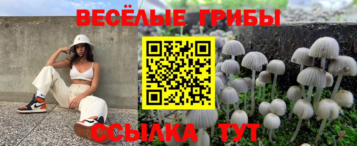 Галлюциногенные грибы Psilocybe  Вход с VPN  Гусев 